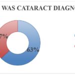 Distribution of patients based on the time of diagnosis of cataract. (before or after the comorbid condition).